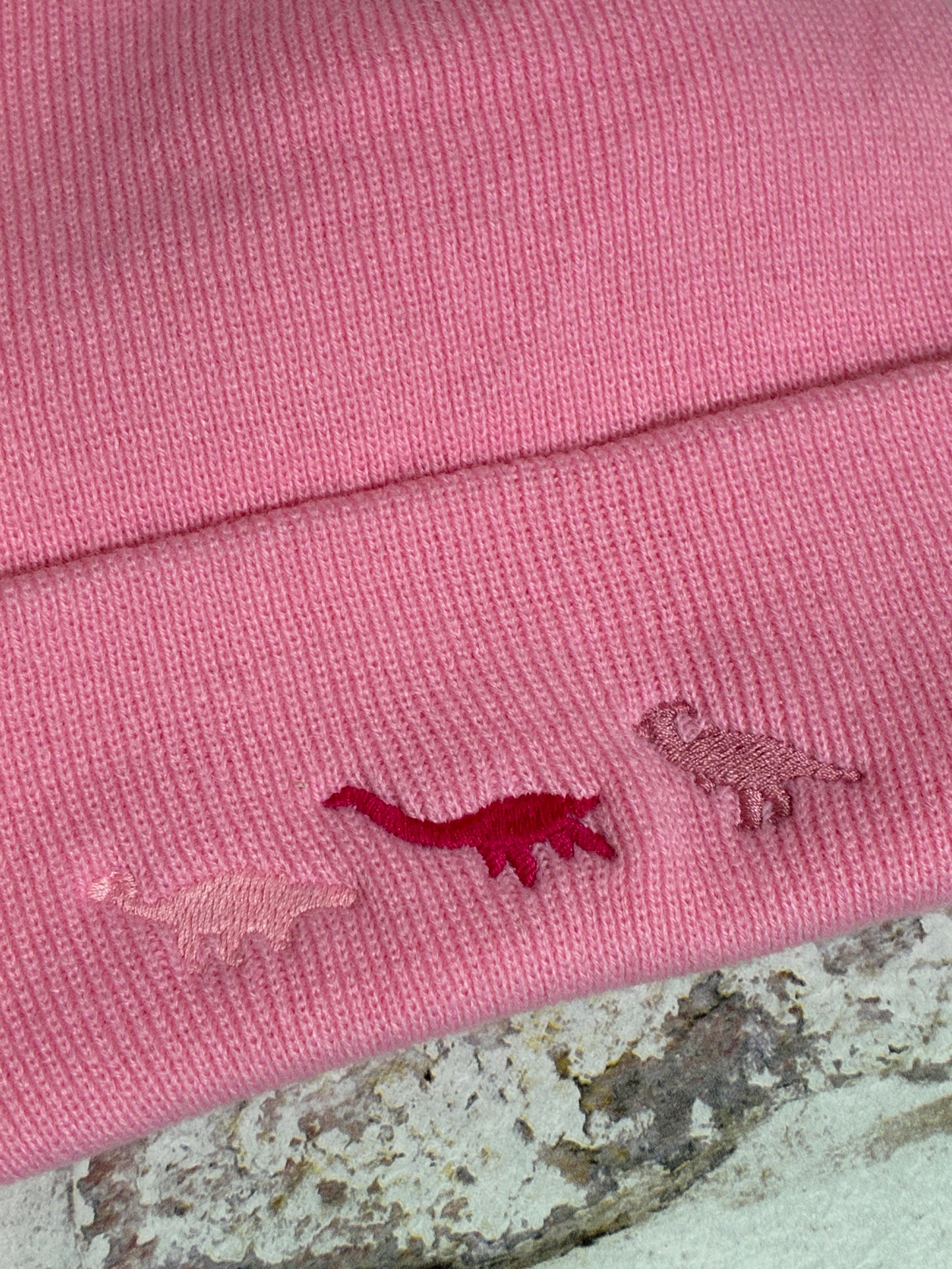 Embroidered miniature dinosaur trio Beanie
