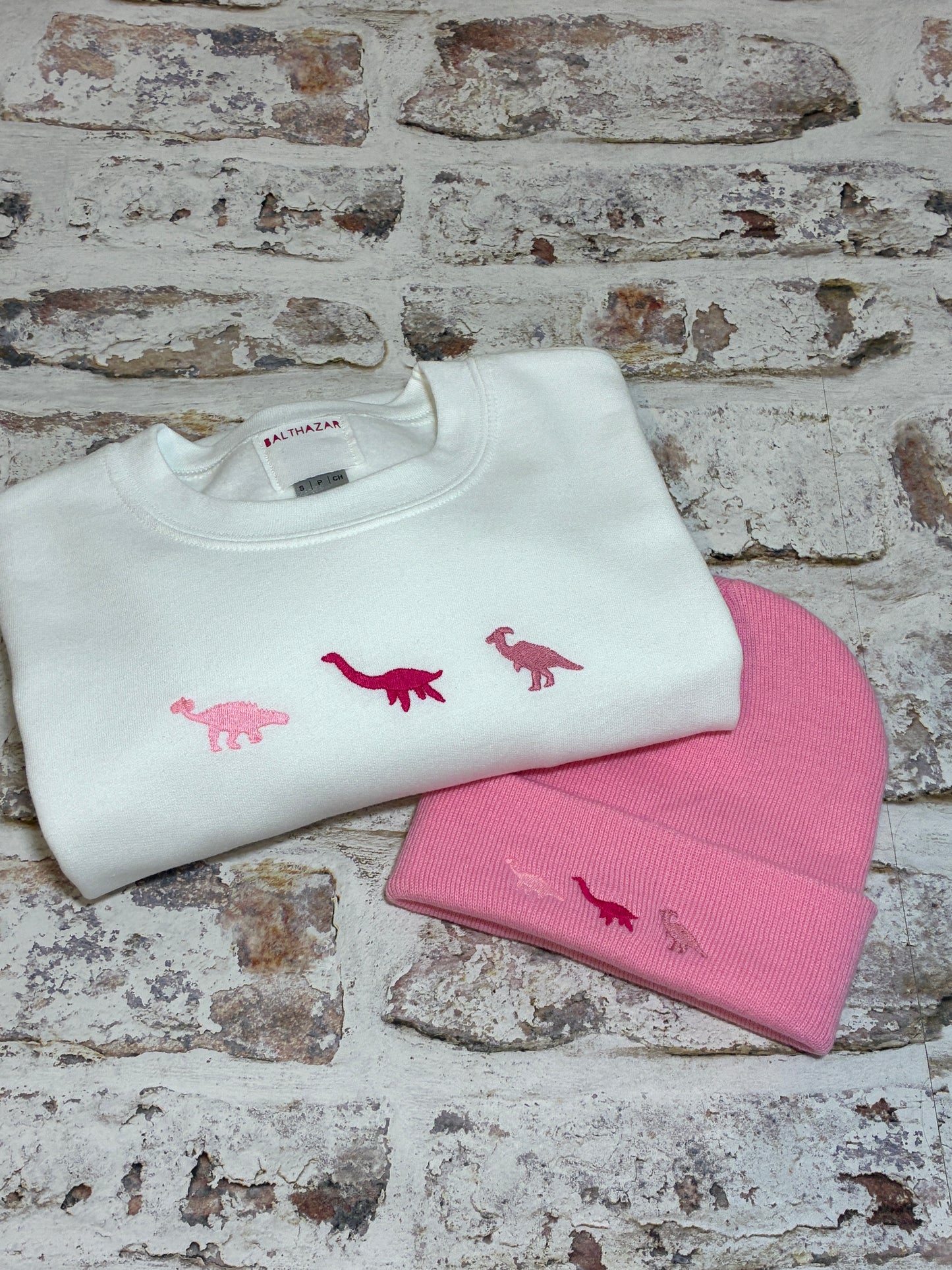 Embroidered miniature dinosaur trio sweatshirt