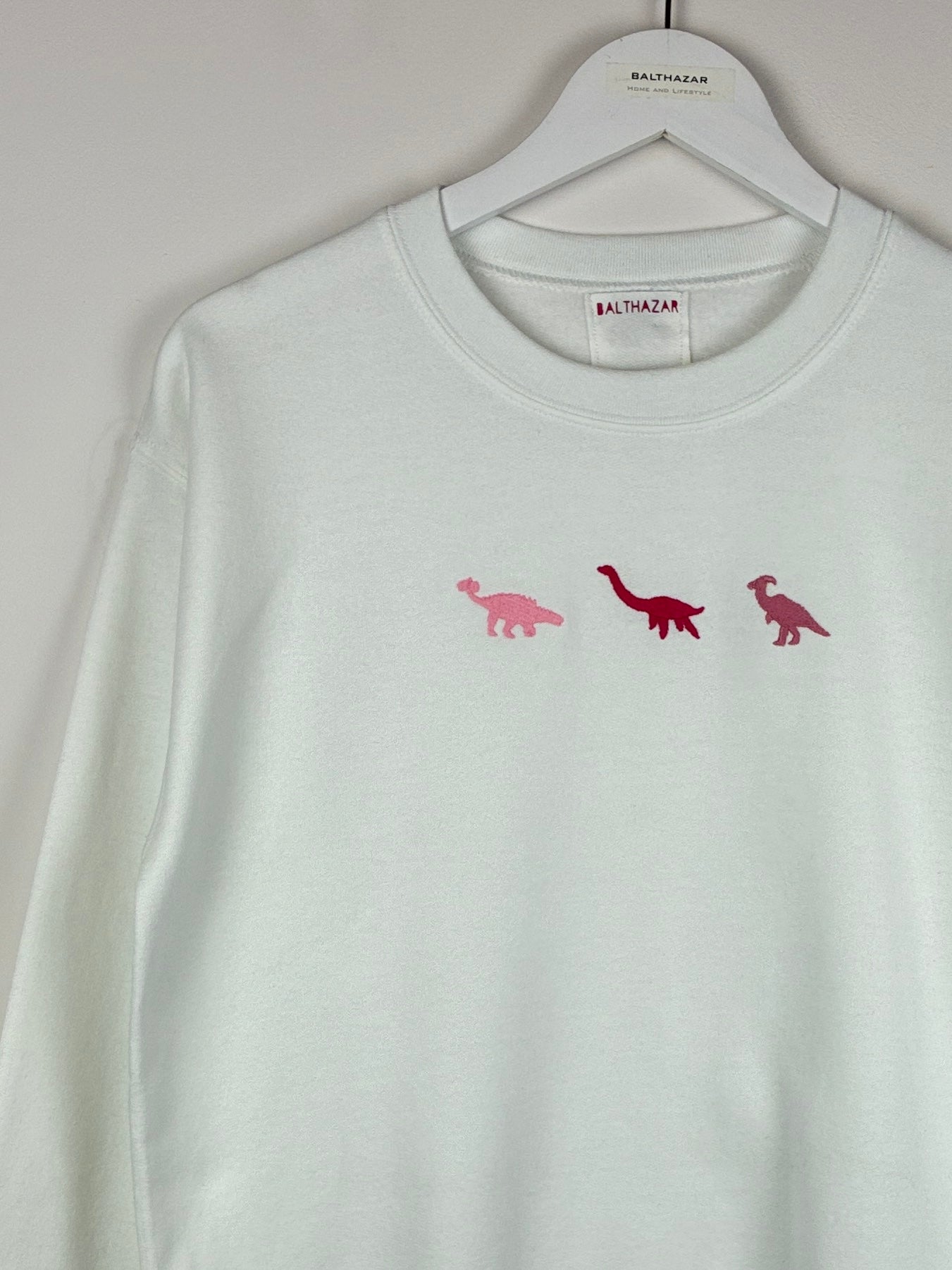 Embroidered miniature dinosaur trio sweatshirt