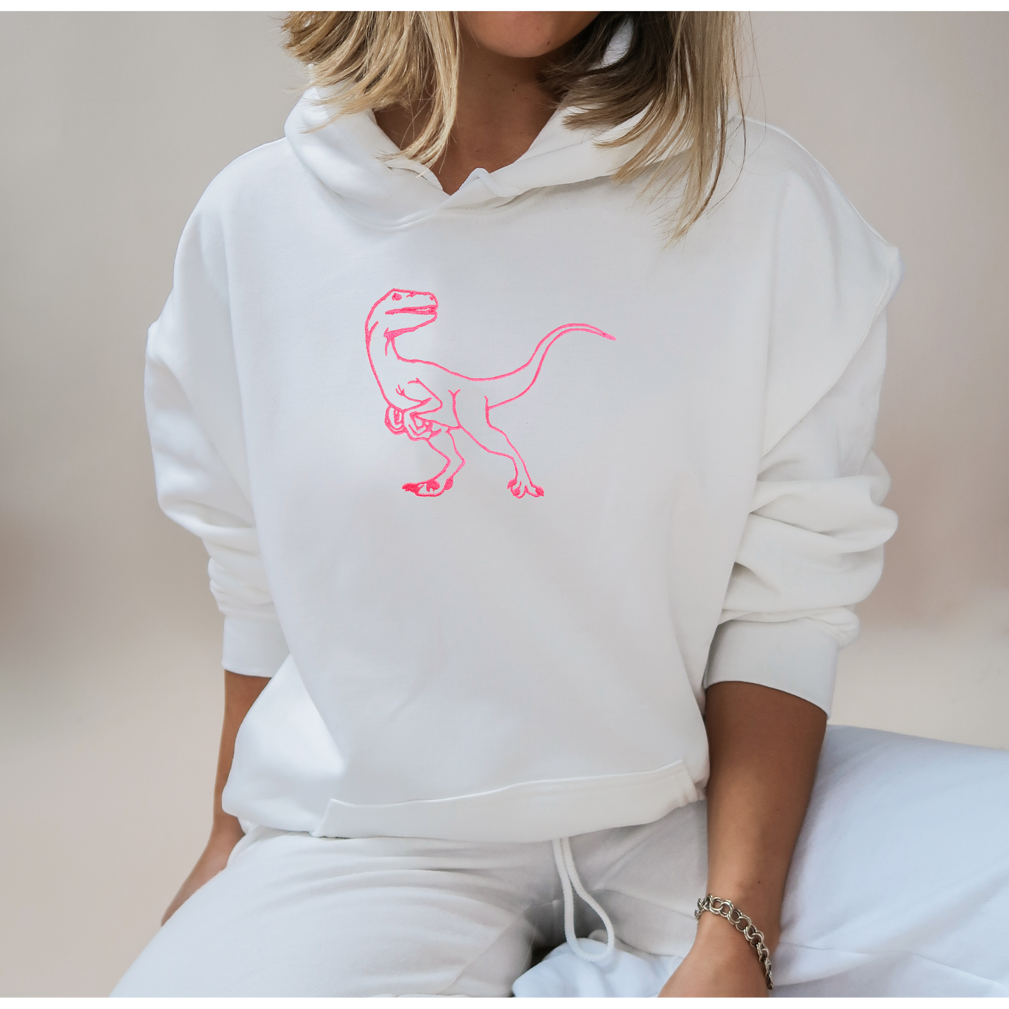 Embroidered Dinosaur Hoody