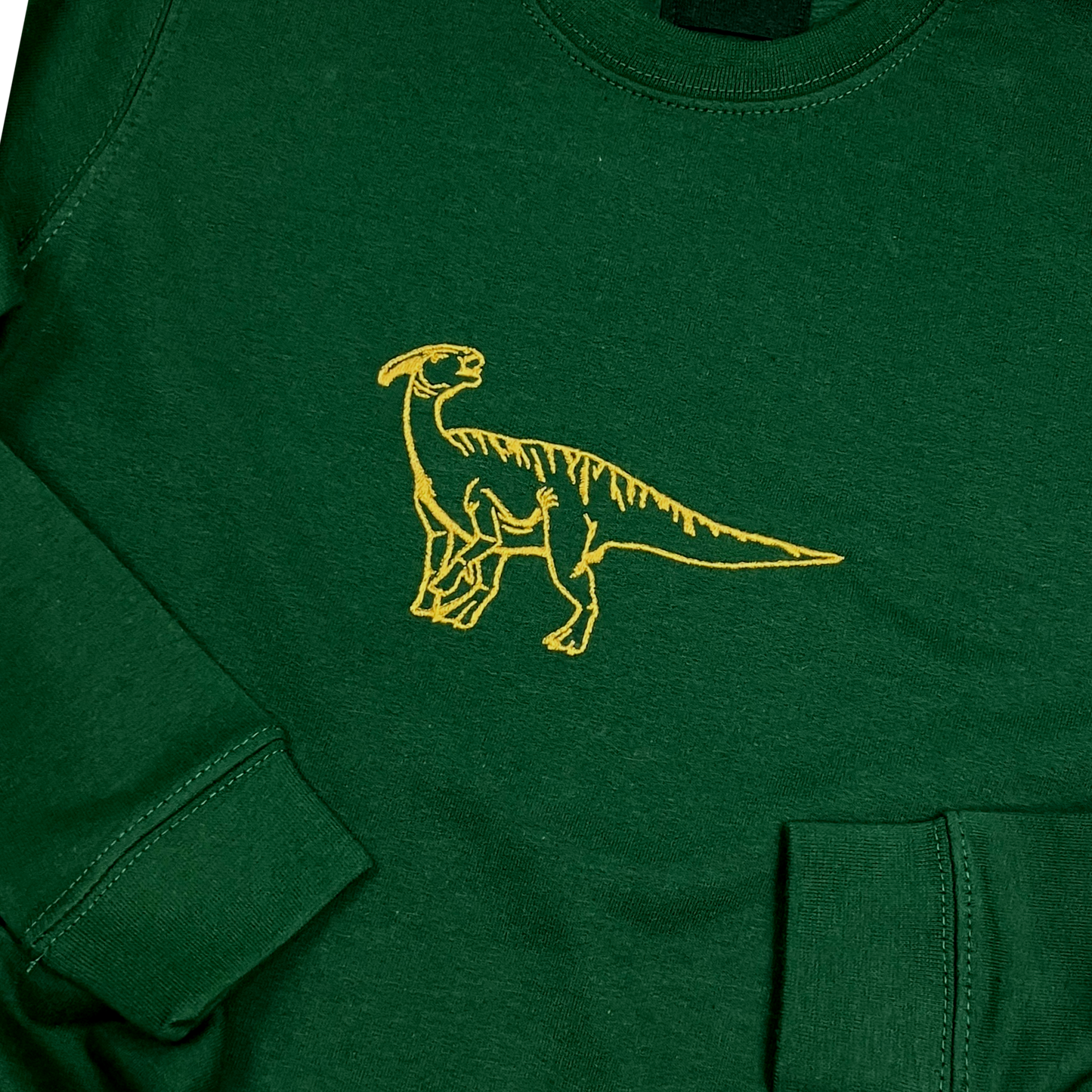 Embroidered Dinosaur Hoody