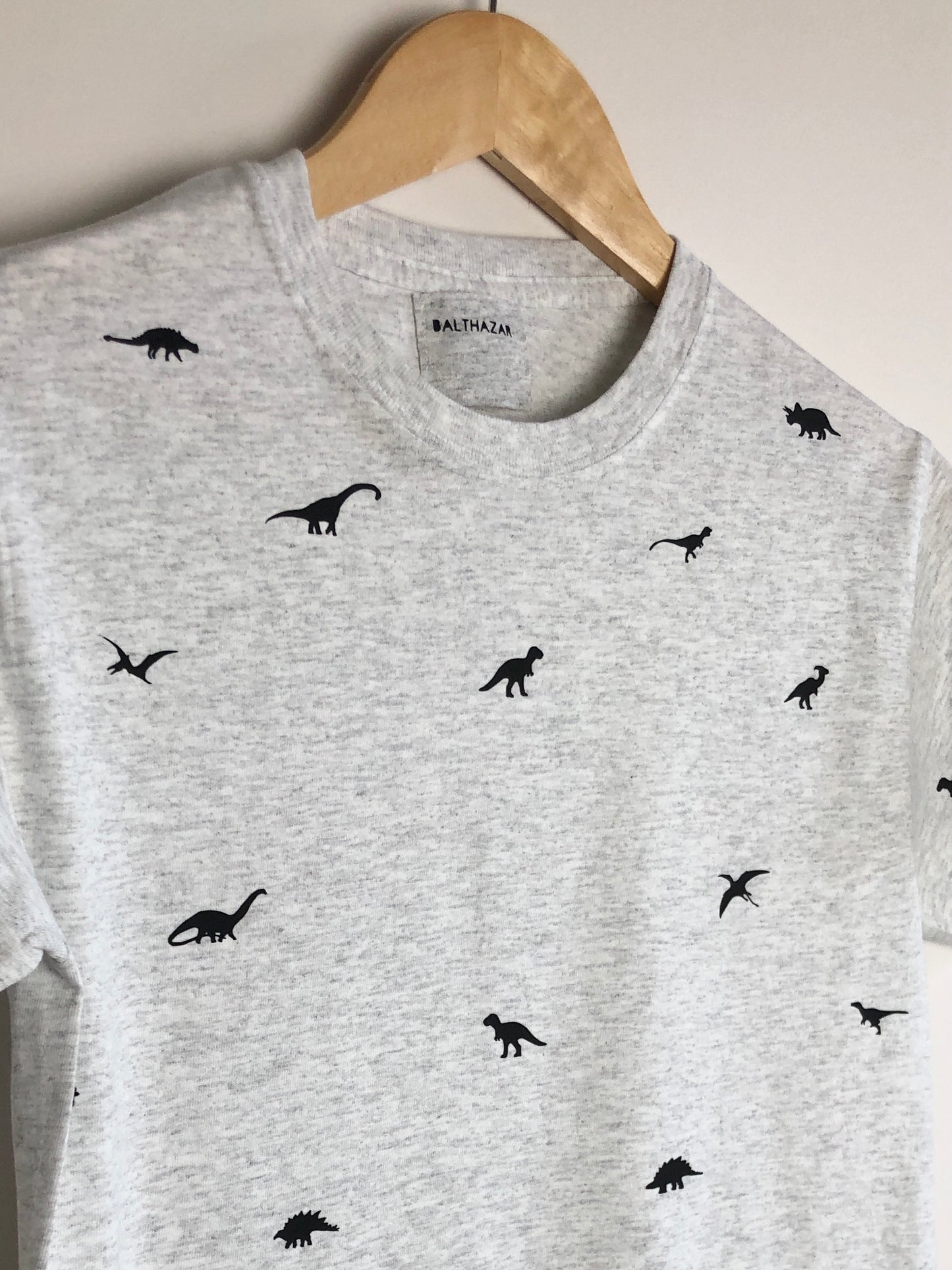 Miniature Dinosaur t-shirt
