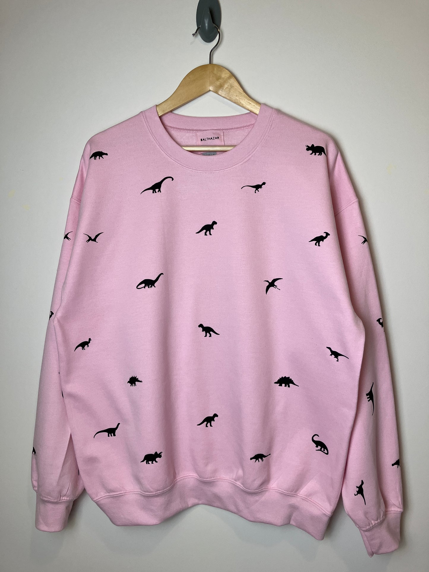 Miniature dinosaur sweatshirt