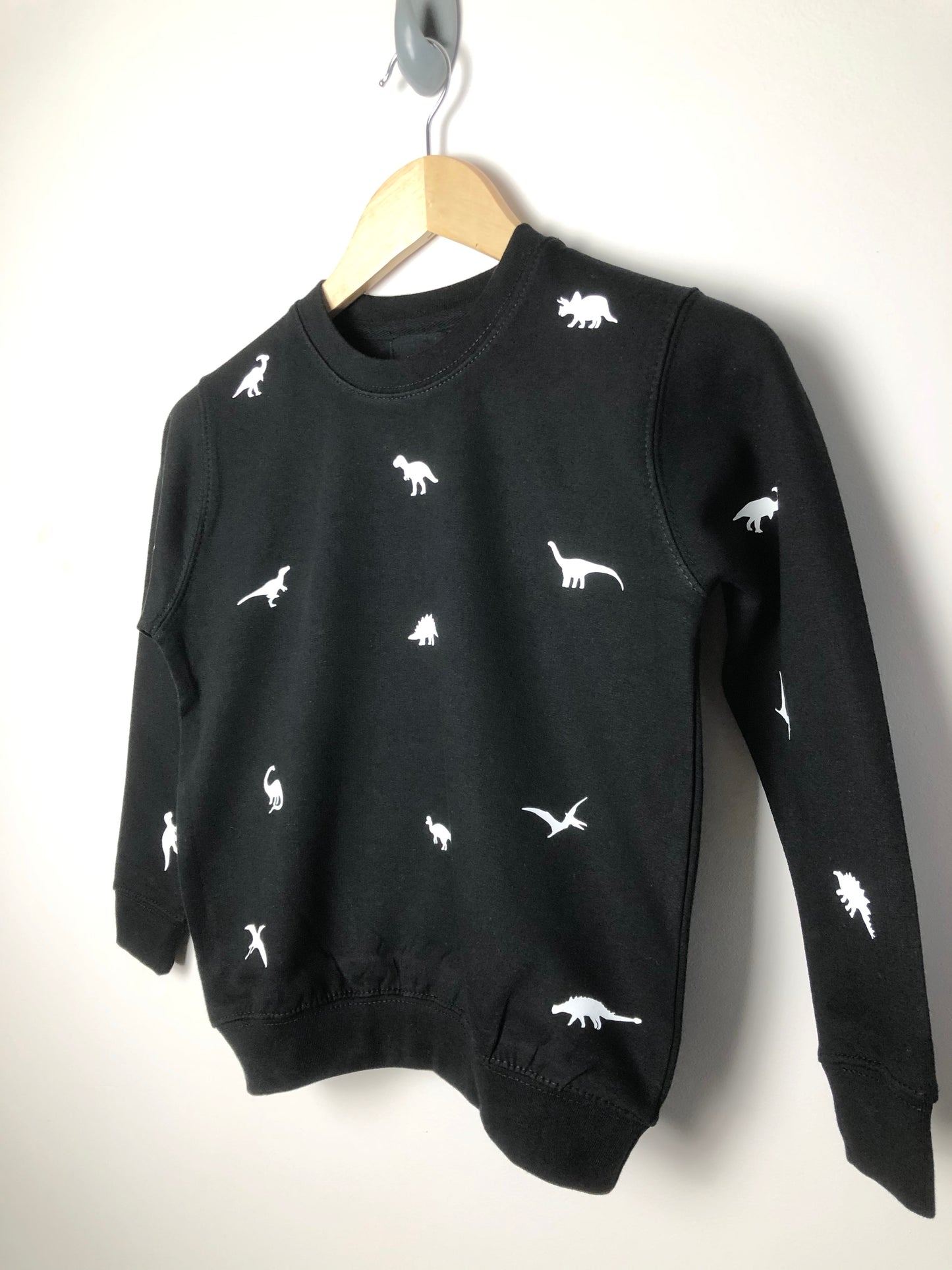 Children's Miniature dinosaur sweatshirt