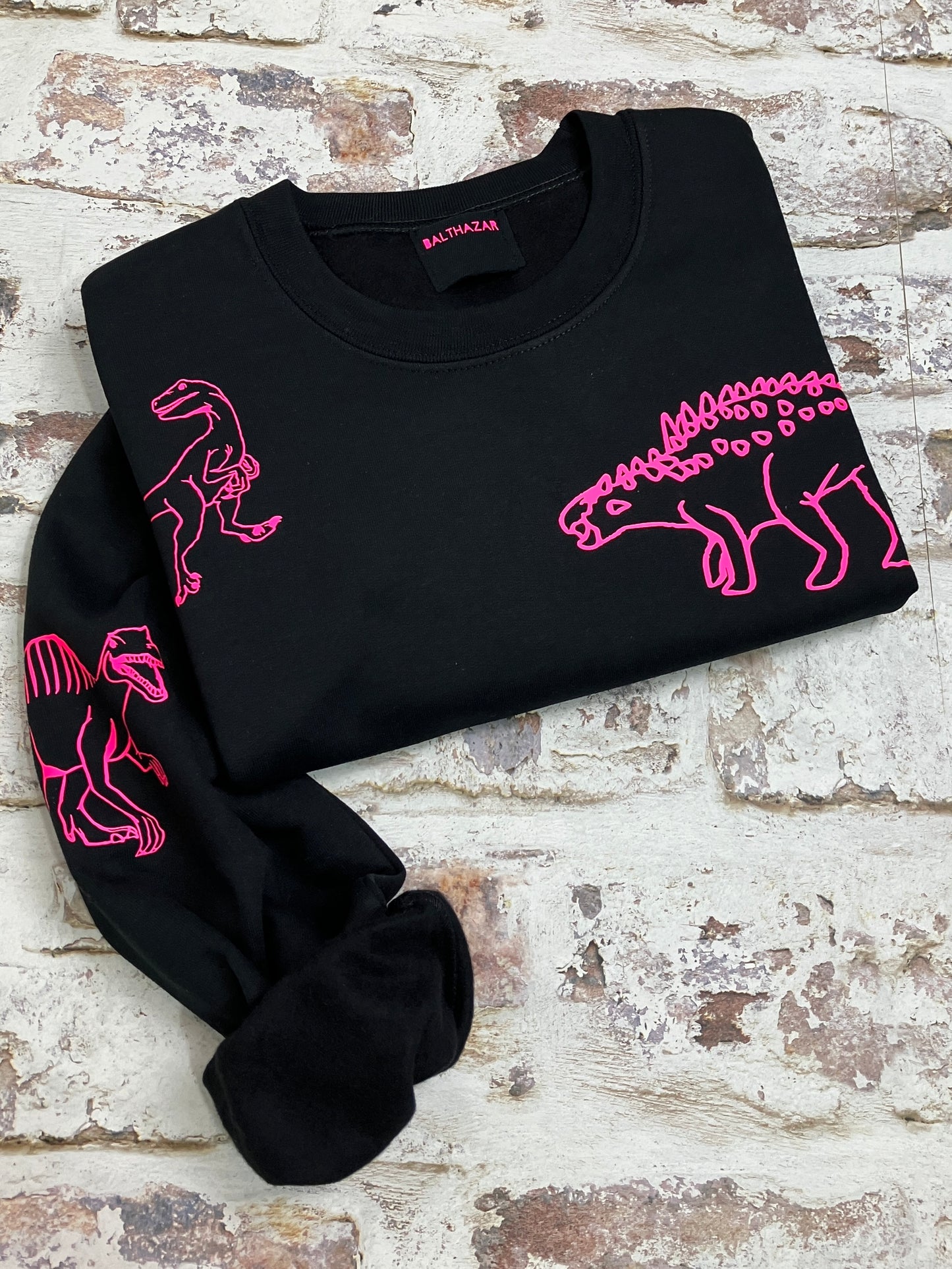 Mega Dinosaur sweatshirt