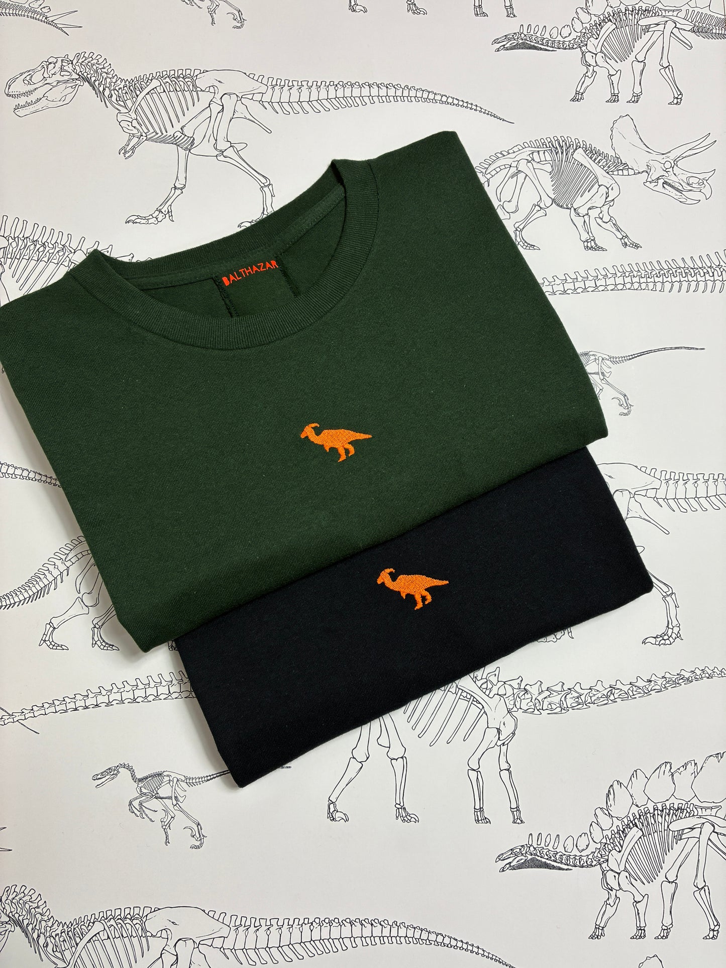 Embroidered miniature dinosaur T-shirt - customisable
