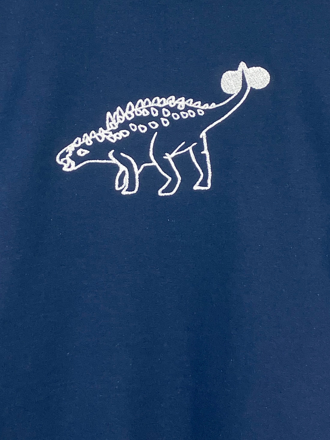 Embroidered Dinosaur Hoody