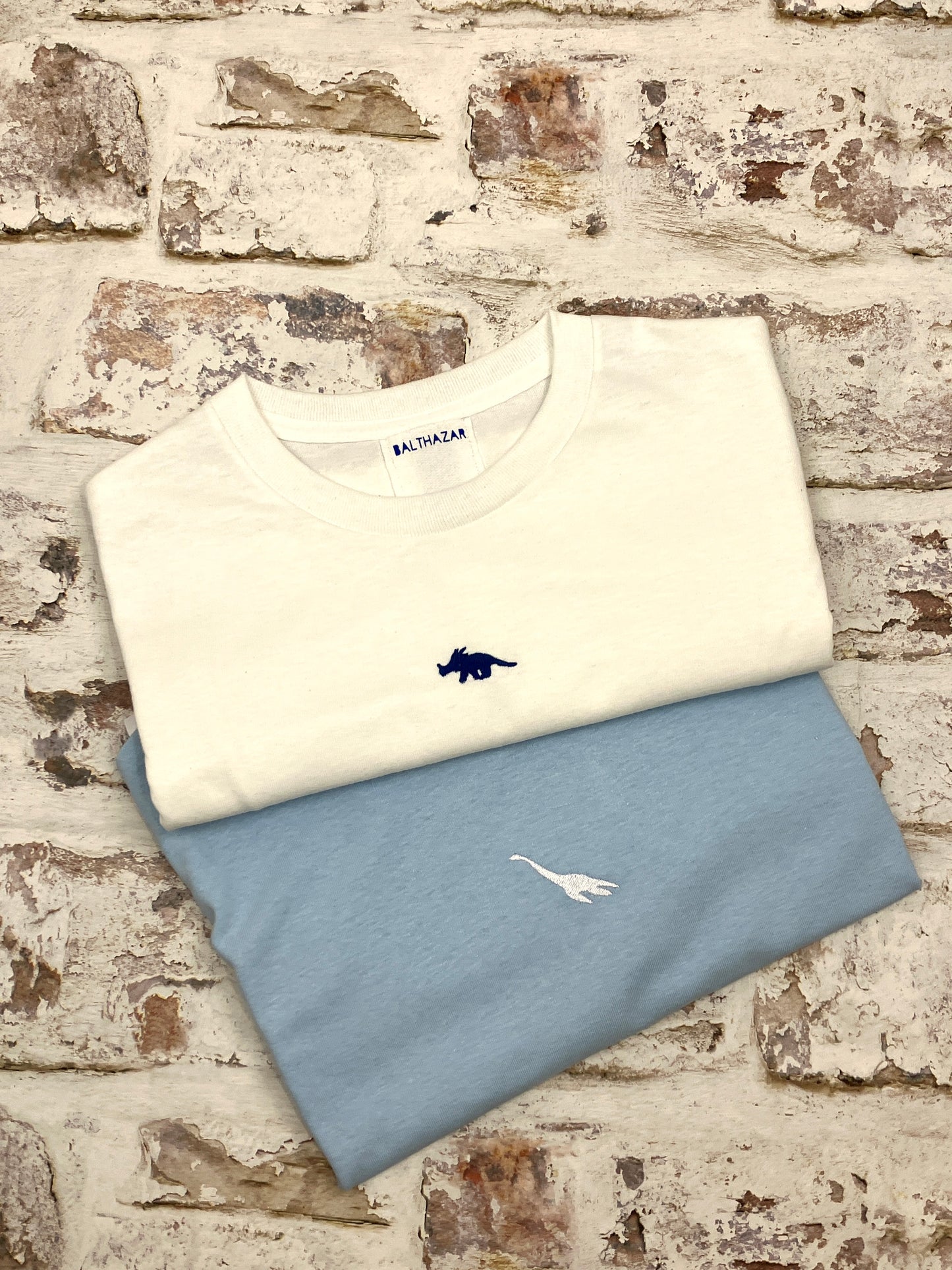 Embroidered miniature dinosaur T-shirt - customisable