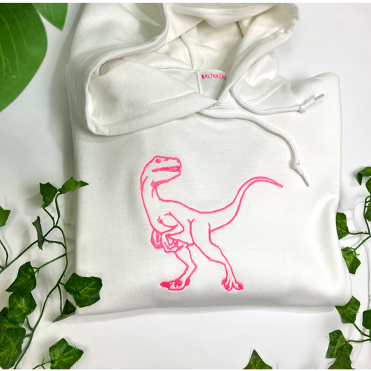Embroidered Dinosaur Hoody
