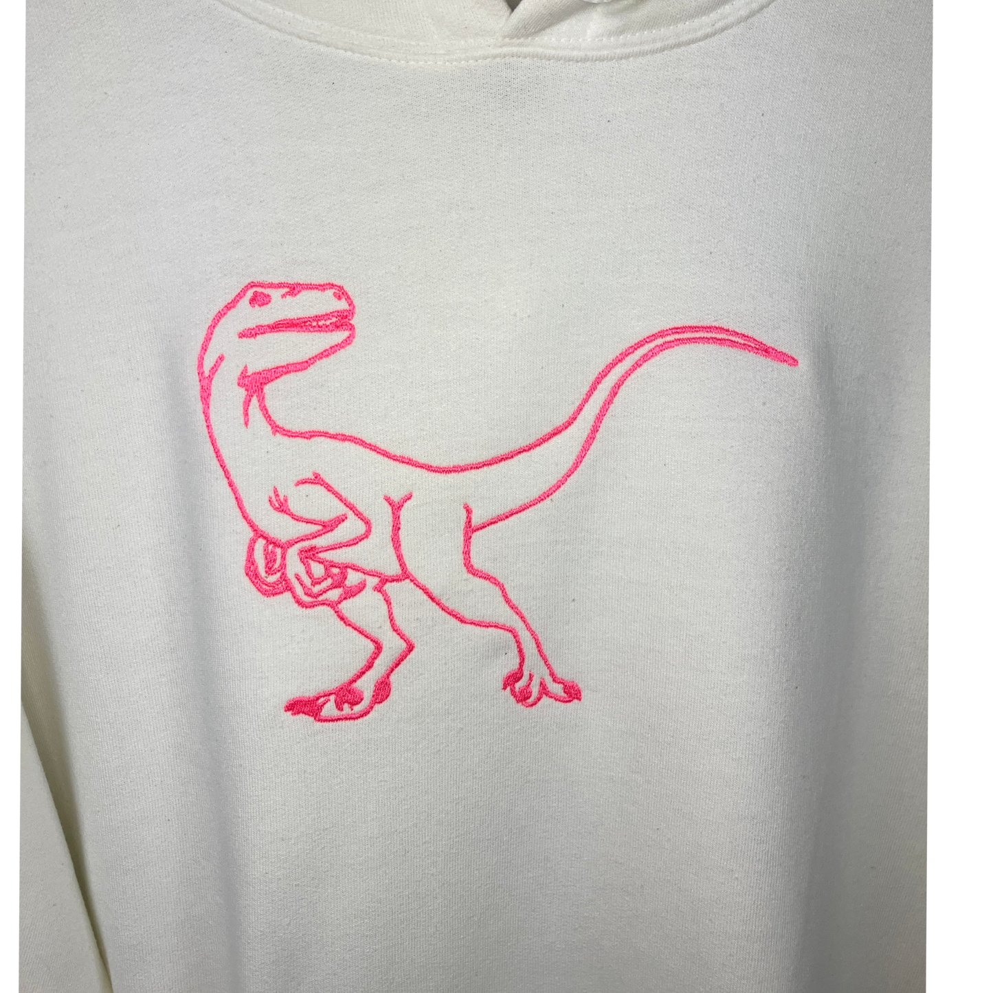 Embroidered Dinosaur sweatshirt - customisable - choose your own dinosaur