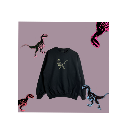 Embroidered Dinosaur sweatshirt - customisable - choose your own dinosaur