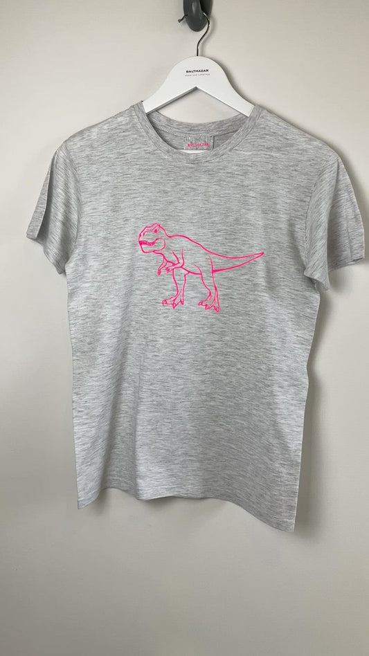 Large Dinosaur t-shirt- customised dinosaurs