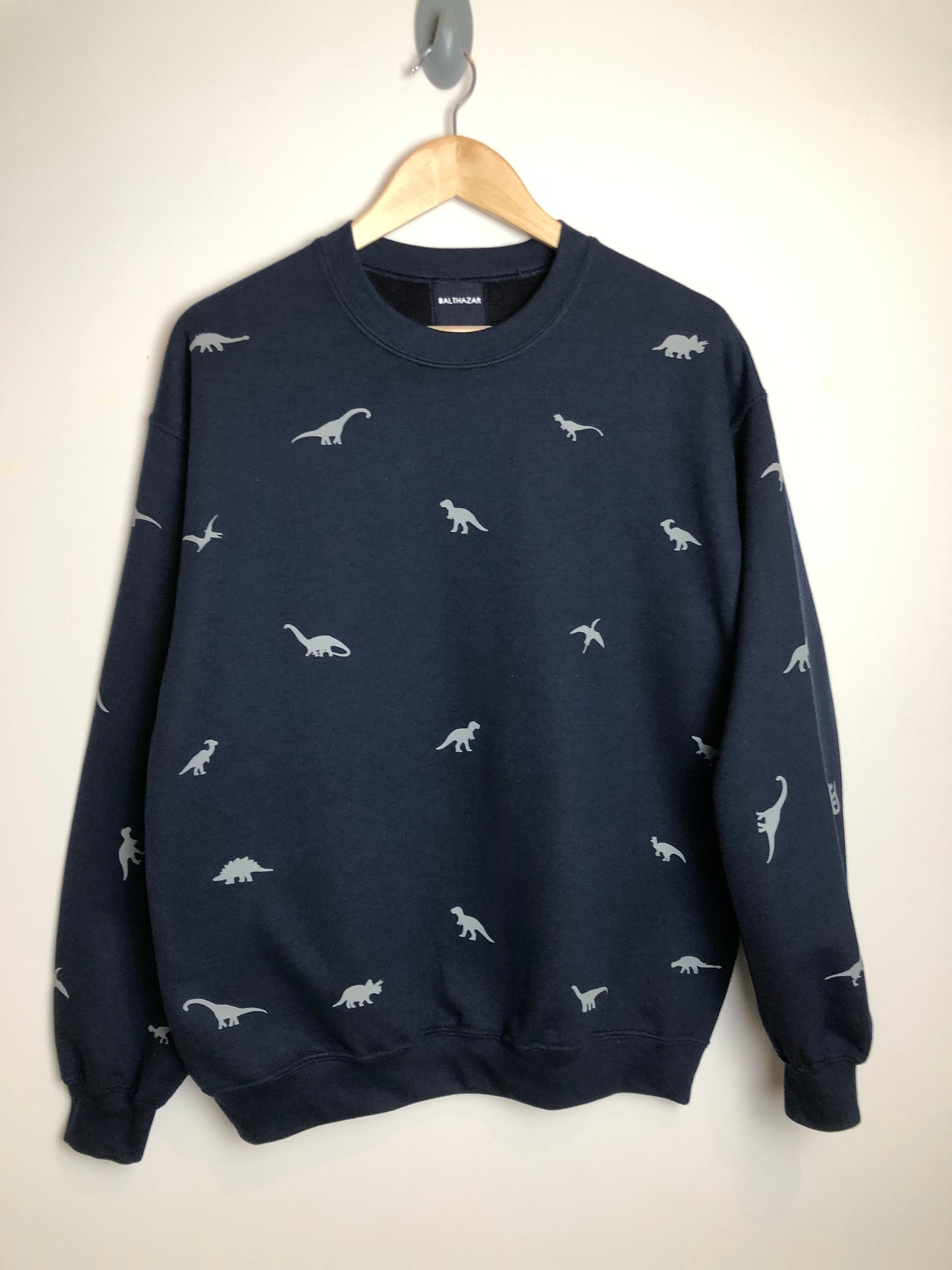 Miniature dinosaur sweatshirt