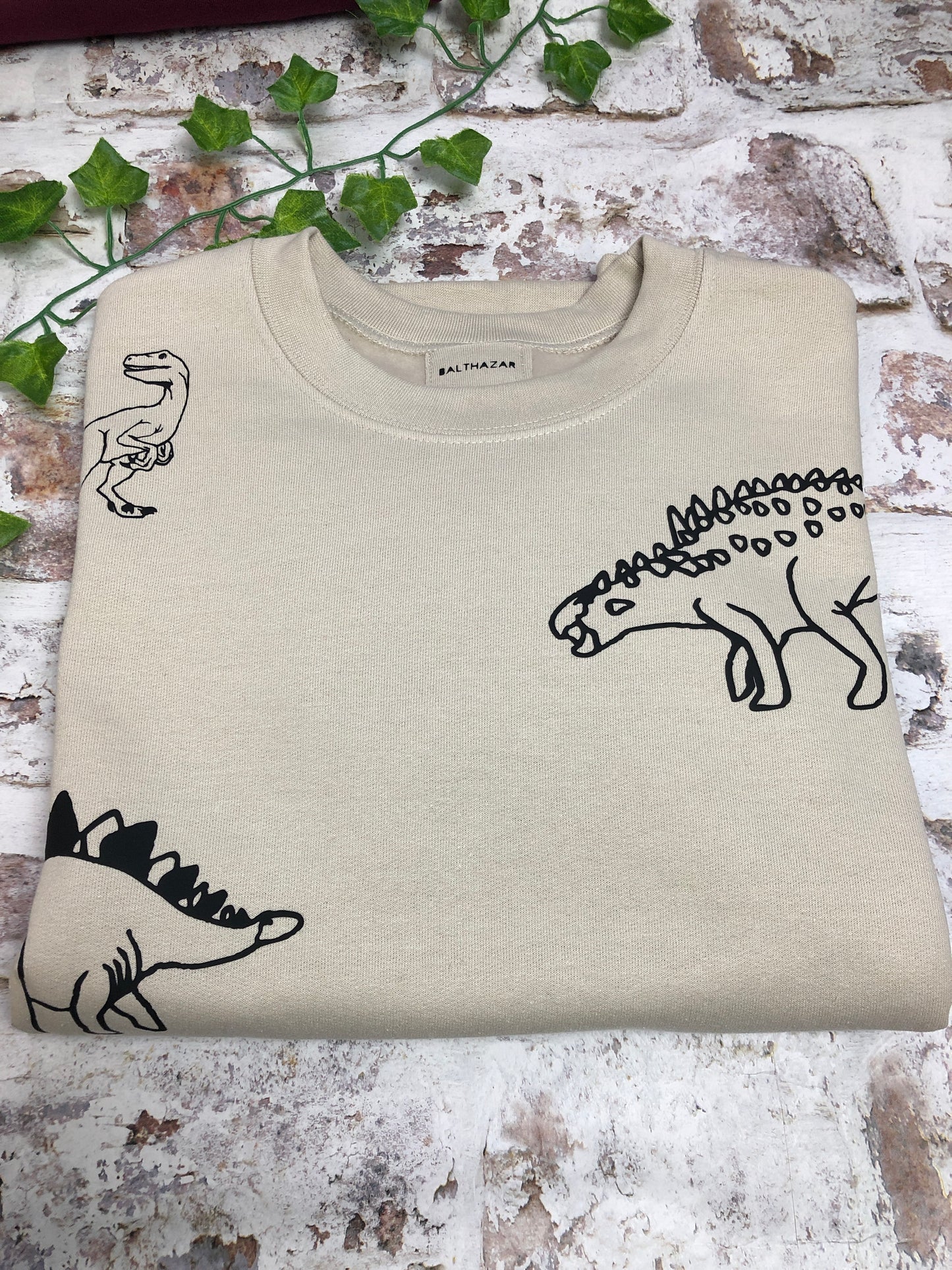 Mega Dinosaur sweatshirt