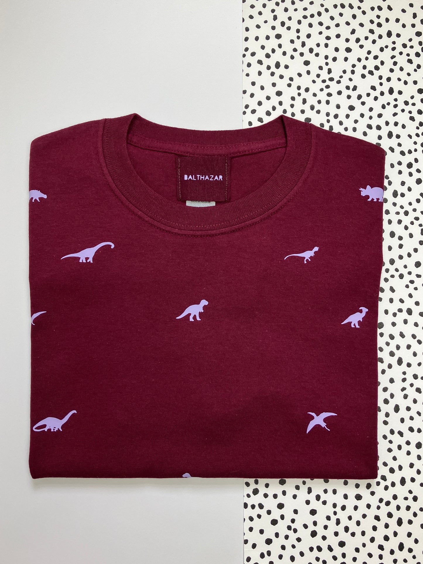 Miniature dinosaur t-shirt - Berry- small