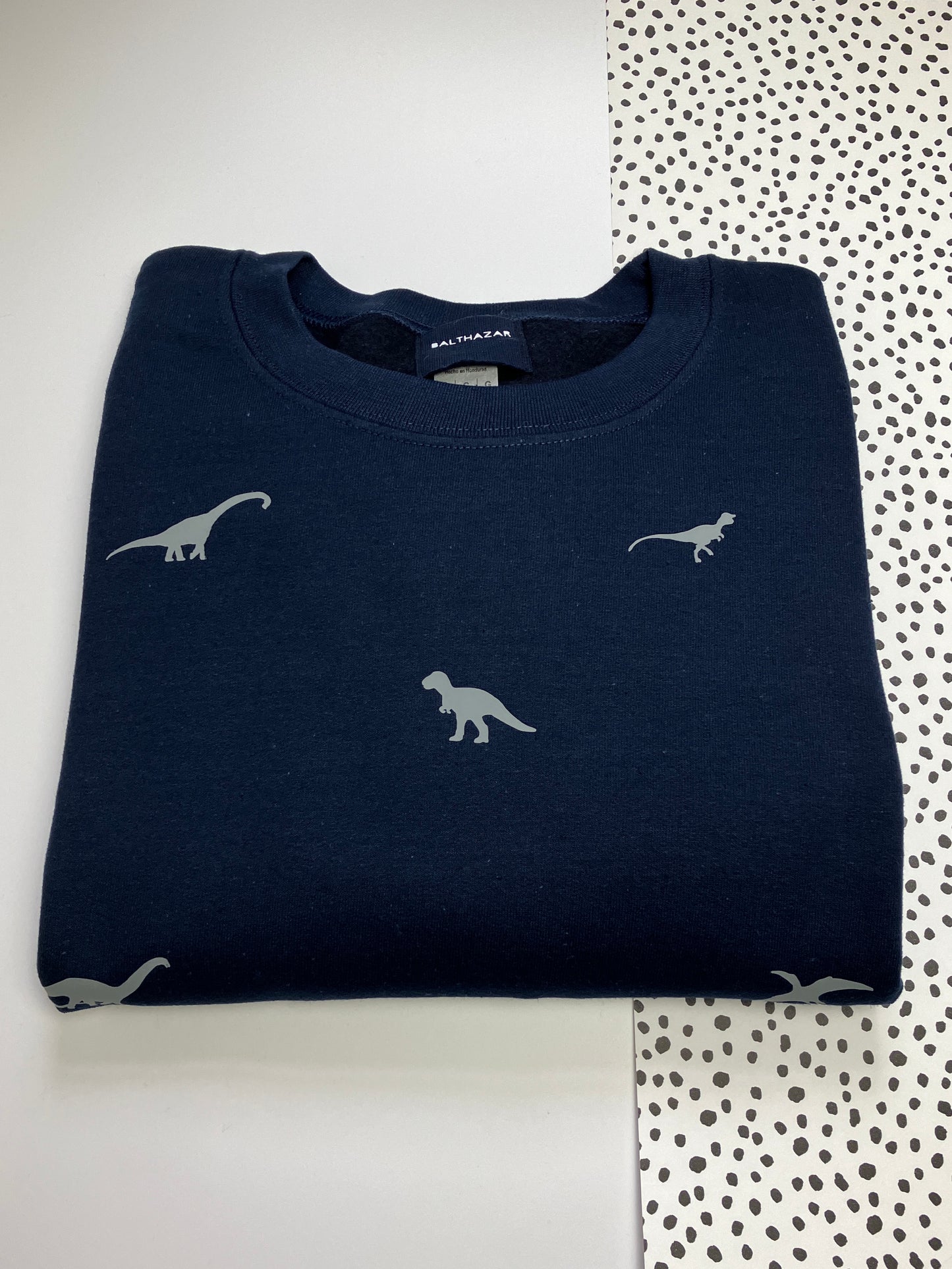 Miniature dinosaur sweatshirt - Navy- Large