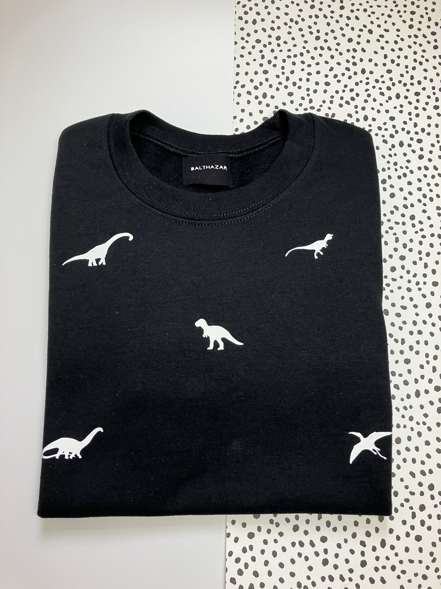 Miniature dinosaur sweatshirt - Black - small