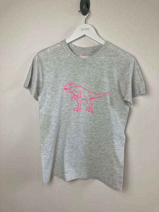 Large Dinosaur t-shirt- customised dinosaurs