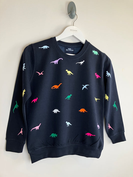 Children's Multicoloured miniature dinosaur sweatshirt- novelty print- hand made