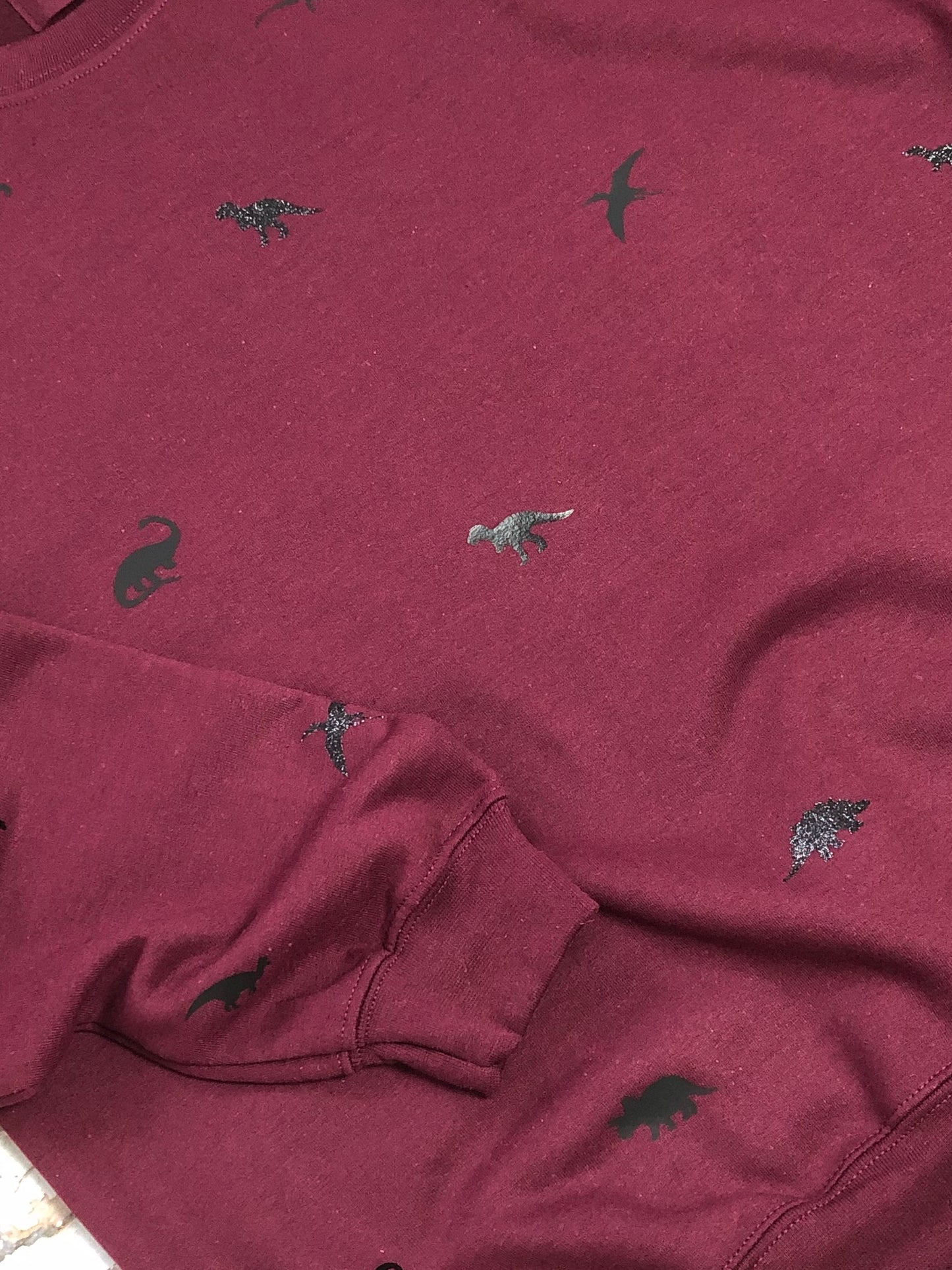 Children's Miniature dinosaur sweatshirt