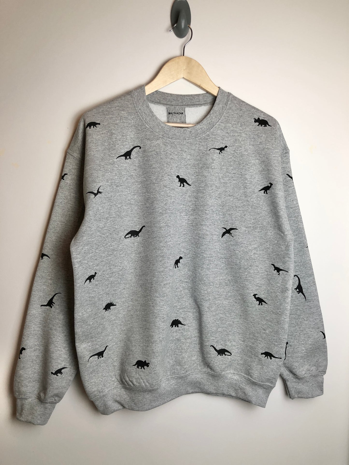 Miniature dinosaur sweatshirt