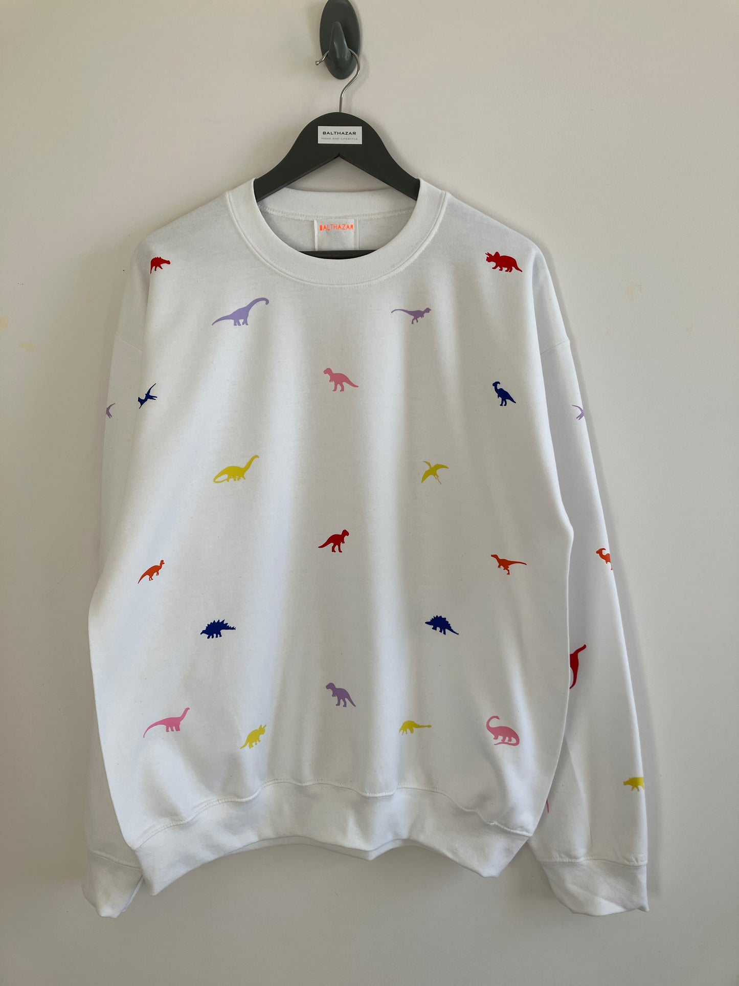 Miniature dinosaur sweatshirt