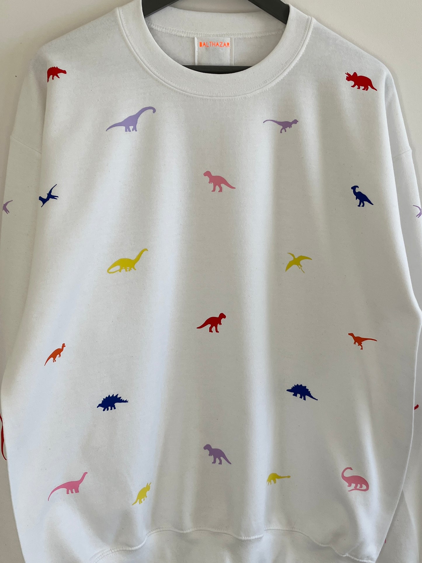 Miniature dinosaur sweatshirt